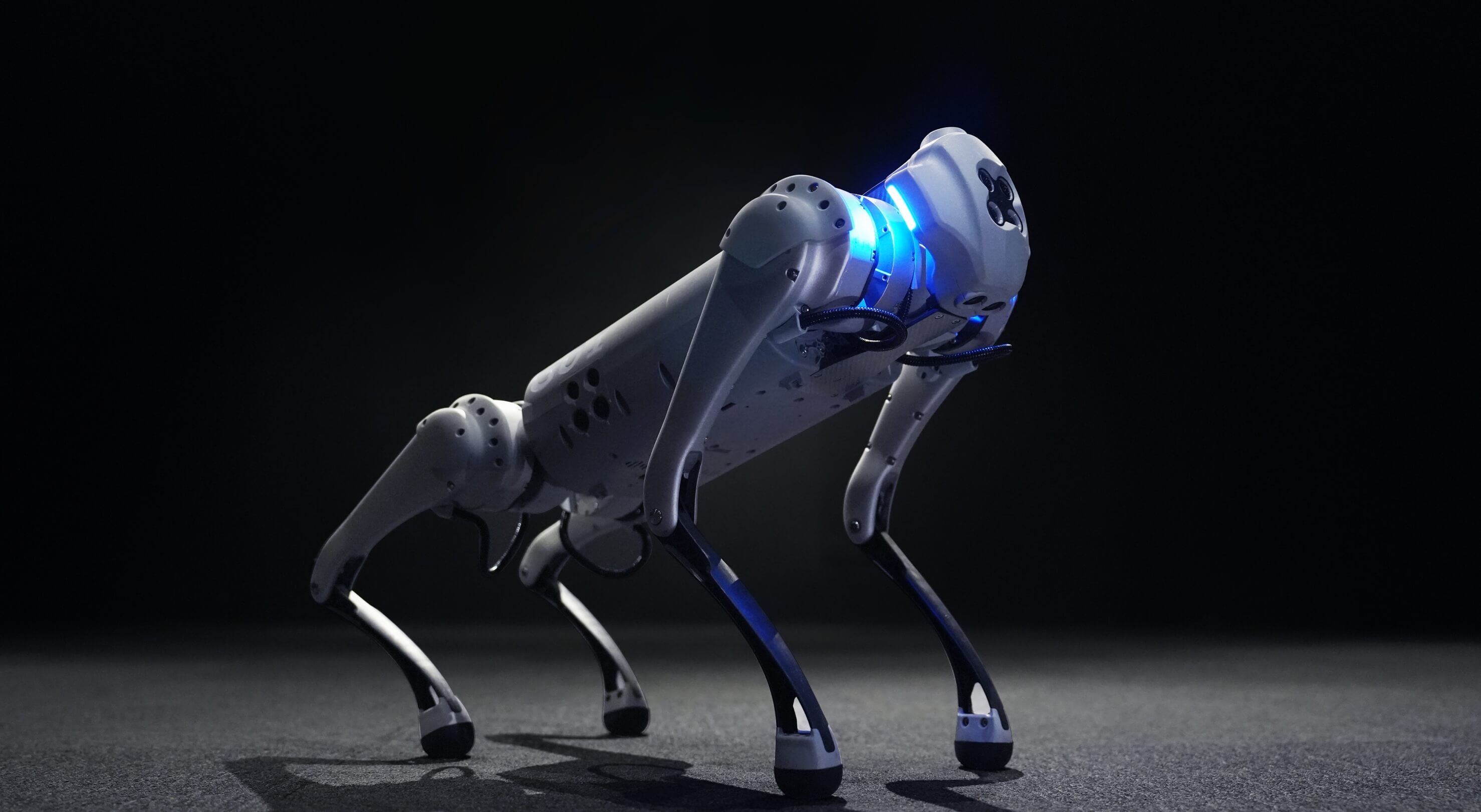 Robopsy Unitree Go1 z poważną luką – może ona oferować pełną kontrolę nad urządzeniem