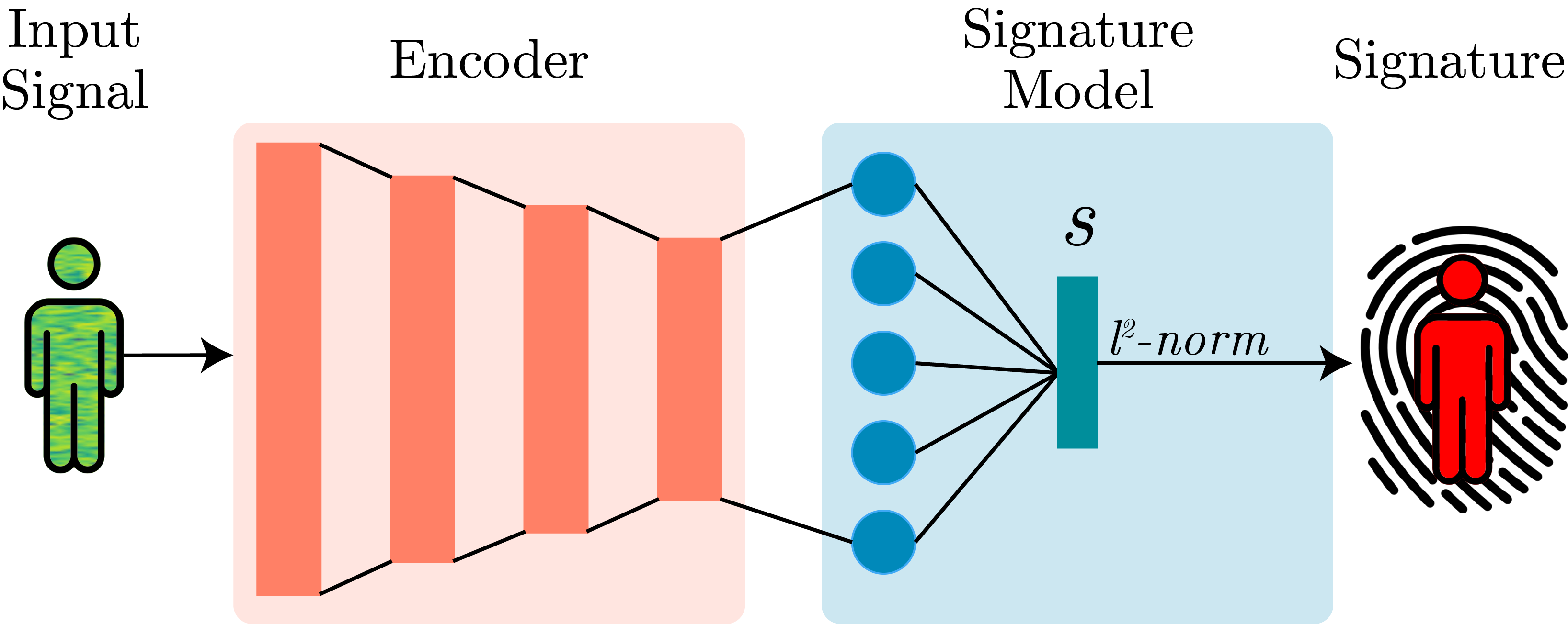 Naukowcy z Rzymu znaleźli biometryczny „odcisk” człowieka w sygnale Wi-Fi